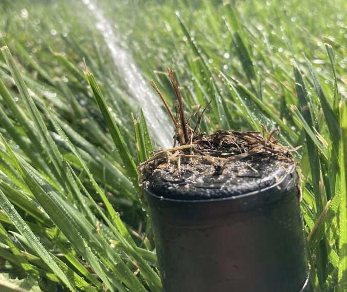 sprinkler maintenance fate tx